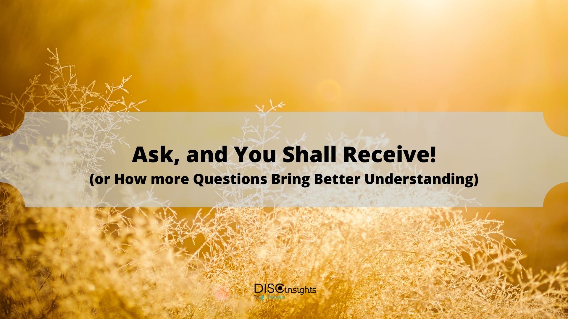 How more questions bring better understanding